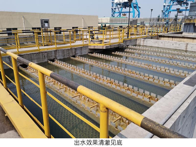 出水效果清澈见底