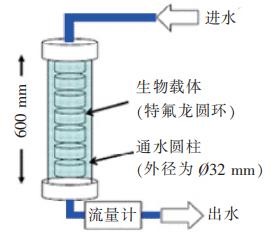 三亿（中国）|微生物黏膜形成率（BFR）