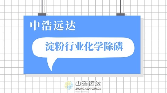 三亿（中国）|淀粉行业化学除磷