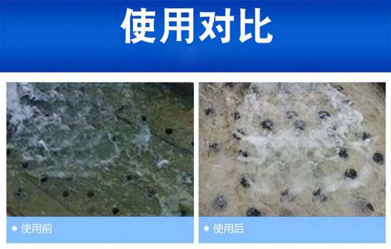 三亿（中国）|藻类对循环冷却水系统的危害