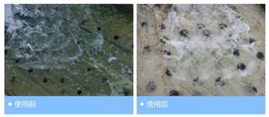 三亿（中国）|循环冷却水菌藻水三亿首页