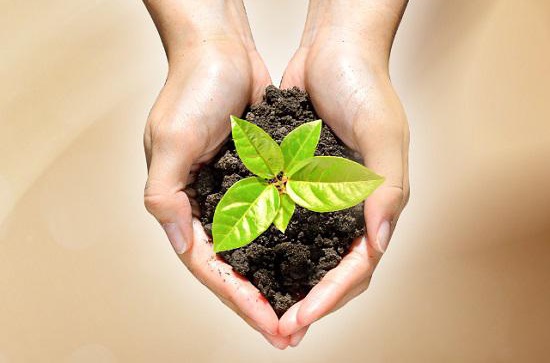 三亿（中国）|好水养好树·一起植树吧