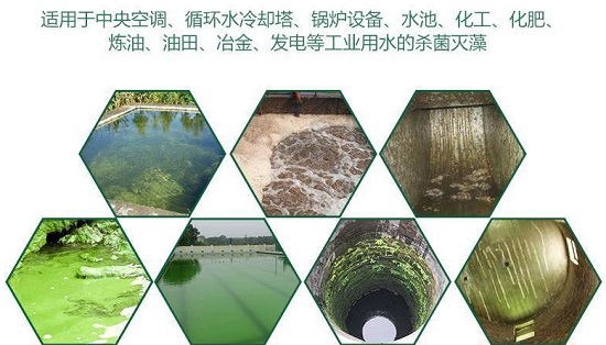 三亿（中国）|循环水系统的微生物控制