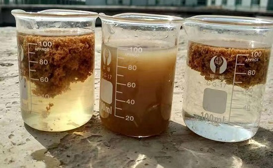 三亿（中国）|低温低浊水三亿首页中的混凝剂