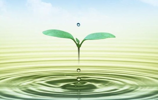 三亿（中国）|微生物杀菌剂使用注意