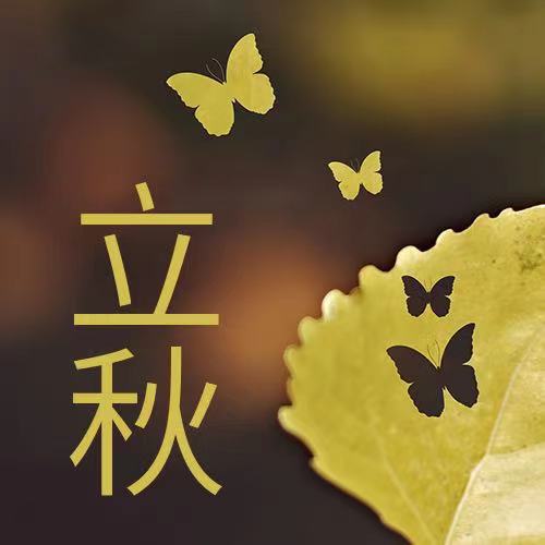 立秋|一叶才飞暑渐收