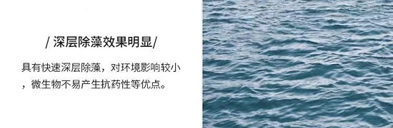 三亿（中国）|杀菌前的剥离和清洗