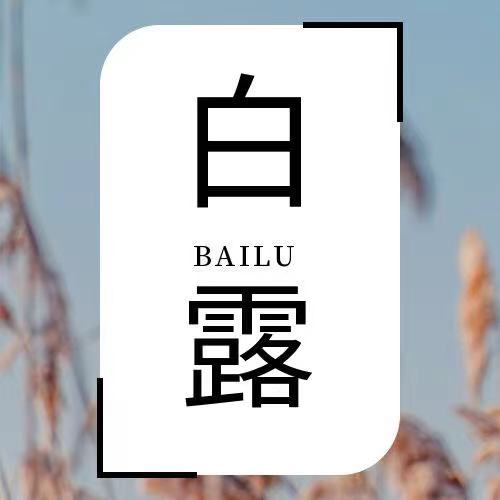 白露|露从今夜白