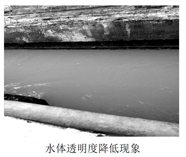 三亿(中国)|循环水系统水体透明度降低