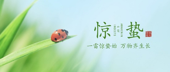 惊蛰|一雷惊蛰始 万物齐生长