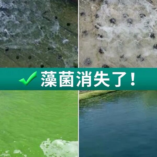 三亿（中国）|杀菌剂对循环冷却水常见微生物三亿首页