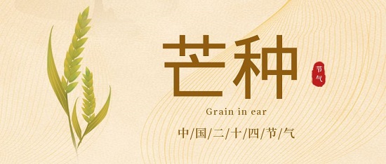 芒种|家家麦饭美·处处菱歌长