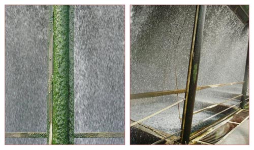 三亿（中国）|循环水系统中杀菌优化