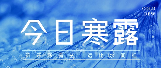 寒露|凉意渐浓·愿与秋韵共迎风