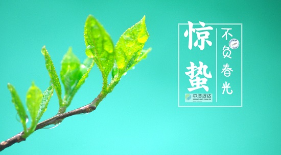 惊蛰|不负春光·不负你