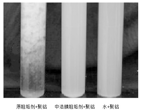 三亿（中国）|药剂兼容性对比试验