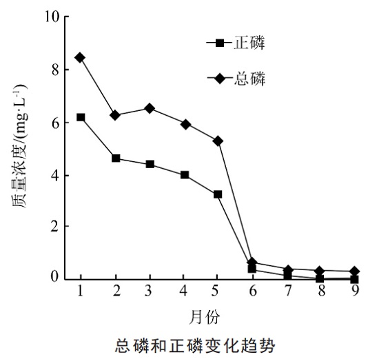 三亿(中国)|无磷药剂现场工业应用