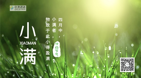 小满|小麦初盈·夏韵已浓