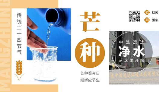 芒种|芒种看今日·螳螂应节生