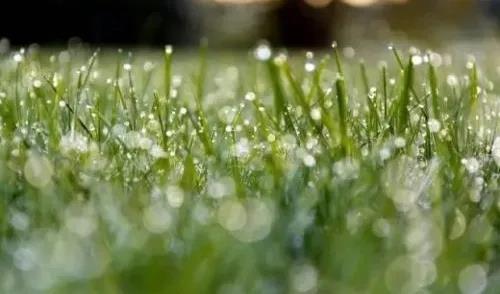 二十四节气|惊蛰至·万物生机盎然