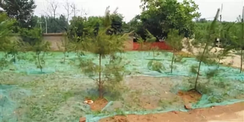 新中国成立后最大规模水源地整治持续推进 北京45个年度问题完成“销号”